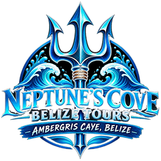 Neptune's Cove Belize Tours Logo