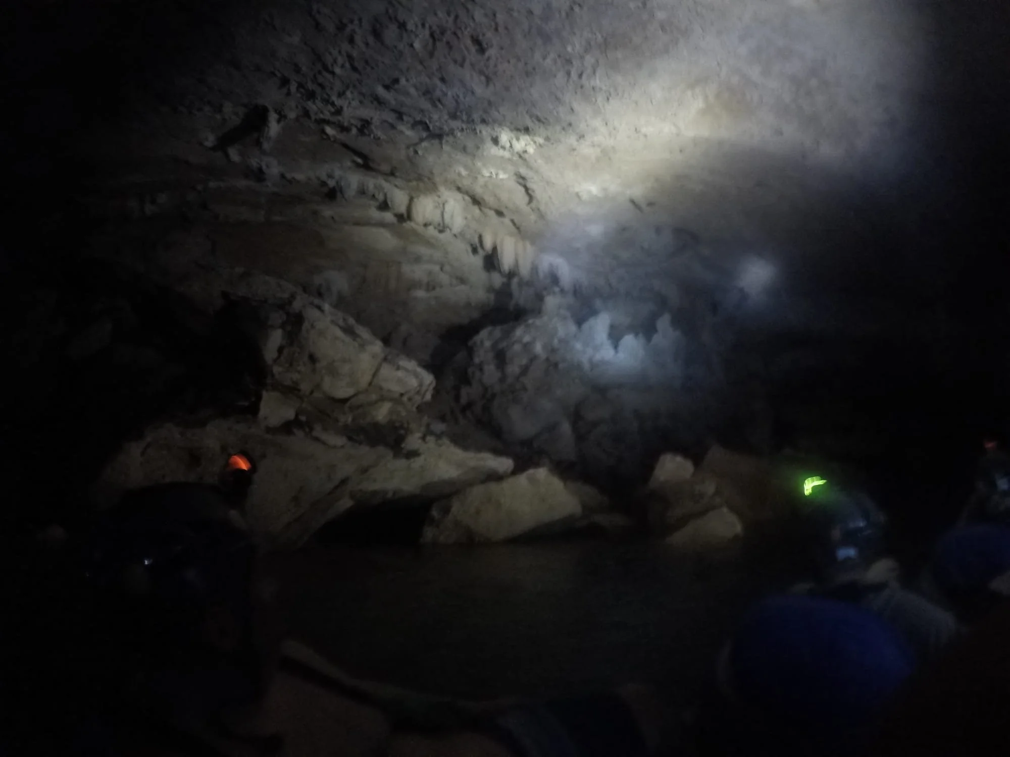 Night Dive