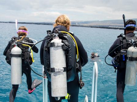 PADI Open Water E-learning Course