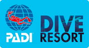 PADI Certified Diving Courses